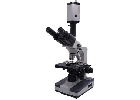 Biológico video do CCD 40X 0,65 Live Blood Analysis Microscope Digital de WF10X