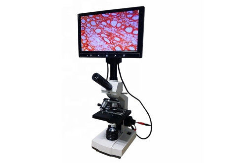Análise do glóbulo do microscópio do Lcd Digital do microscópio biológico do laboratório de WF10X 2000X