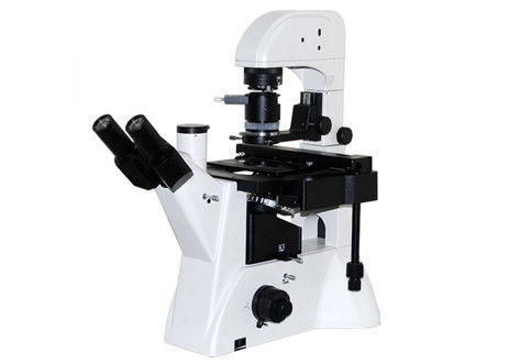 Diodo emissor de luz da qualidade WF10X/22mm 5W do microscópio do laboratório de ciência de Trinocular DIC