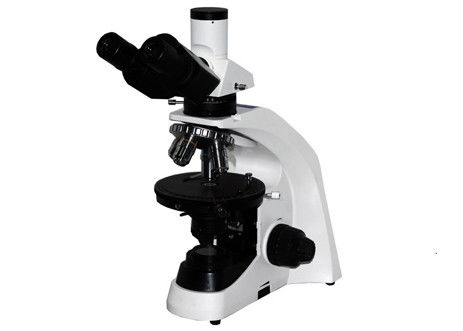Fase educacional de Microscope With Mechanical do estudante do jogo WF10X/20mm do microscópio de Trinocular