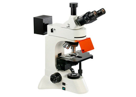 WF10X/22mm conduziu microscópio fluorescente 4X invertido 10X 360 graus