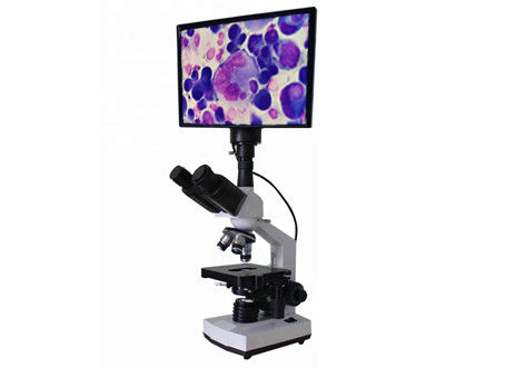 Discussão brilhante da biologia do microscópio do campo da discussão WF10X 400X da biologia da microscopia do LCD