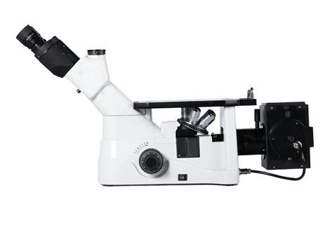 O microscópio articulado cromático do laboratório de biologia de Trinocular polarizou a fotomicroscopia