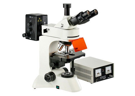 A infinidade Epi da câmera conduziu a pesquisa fluorescente da genética do ocular do microscópio WF10X