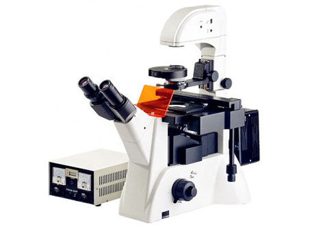 Microscópio invertido Edu Science Microscope 1200x 20X do laboratório de biologia da fluorescência