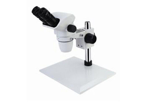 Microscópio estereofônico WF10X/22mm binocular do zumbido do Squareness sem iluminação
