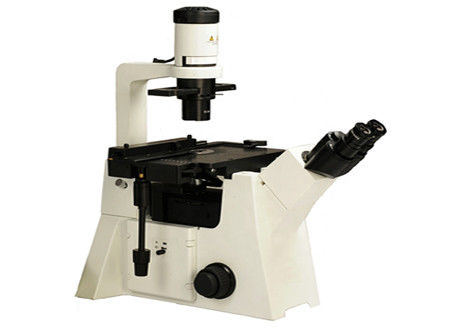 Laboratório invertido de Trinocular 1000X da microscopia de elétron do contraste da fase ótico