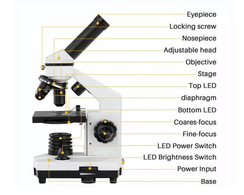 ODM de Biological Microscope 640X do estudante de Drawtube do monocular