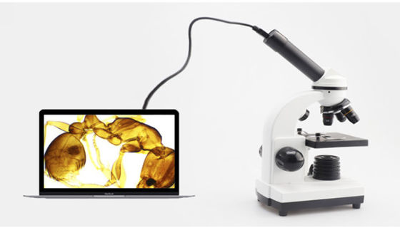 ODM de Biological Microscope 640X do estudante de Drawtube do monocular