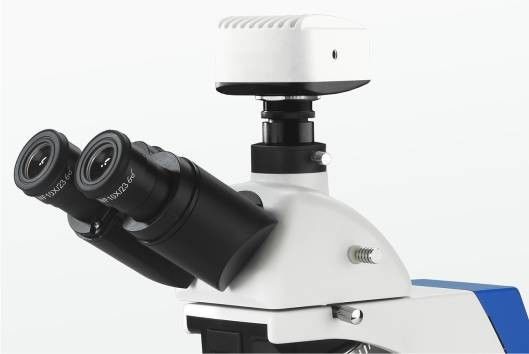 Posição de polarização integrada do microscópio biológico 4 do laboratório do campo escuro