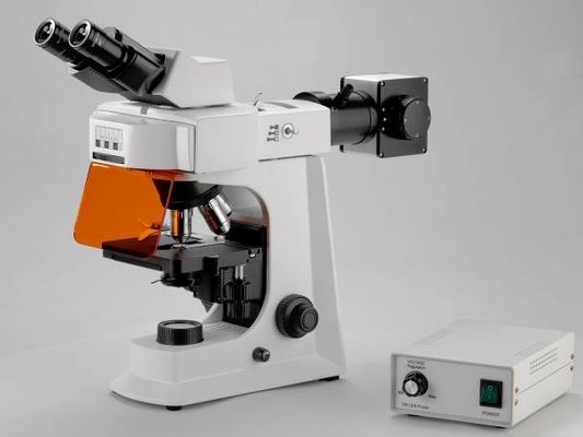 Microscópio biológico do laboratório branco de Trinocular com fase mecânica