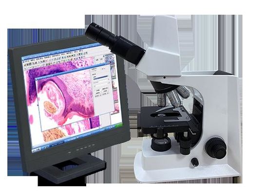 Microscópio biológico do laboratório branco de Trinocular com fase mecânica
