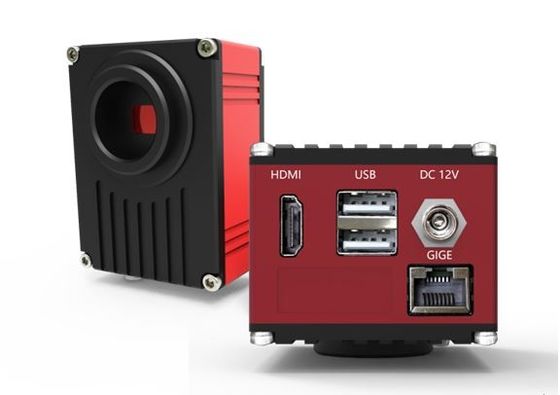 Câmara digital do microscópio de HDMI 60FPS com interface de rede do gigabit