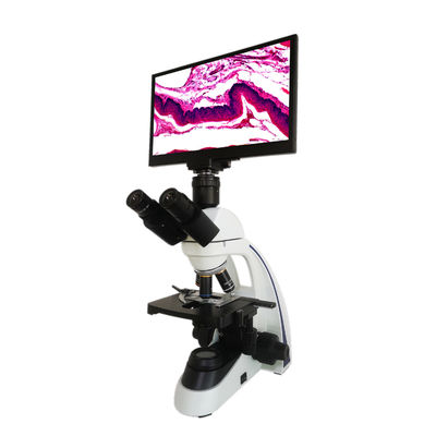 Microscópio composto do LCD para o glóbulo de vida e a análise inoperante do glóbulo